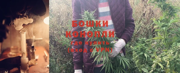 Альфа ПВП Медногорск