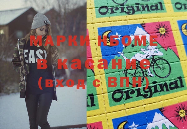 шишки Гусиноозёрск