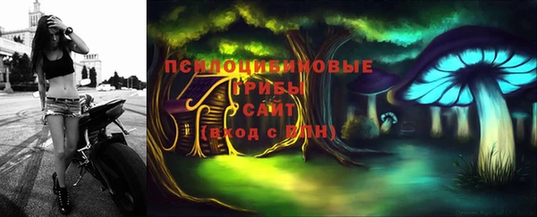 2c-b Медвежьегорск