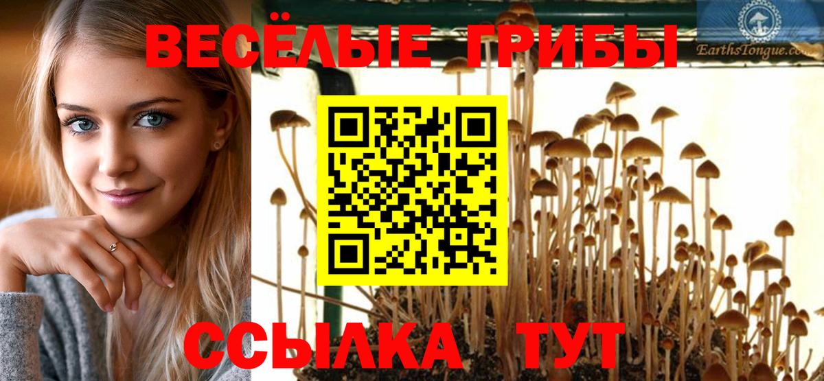 Галлюциногенные грибы Magic Shrooms  Железноводск 