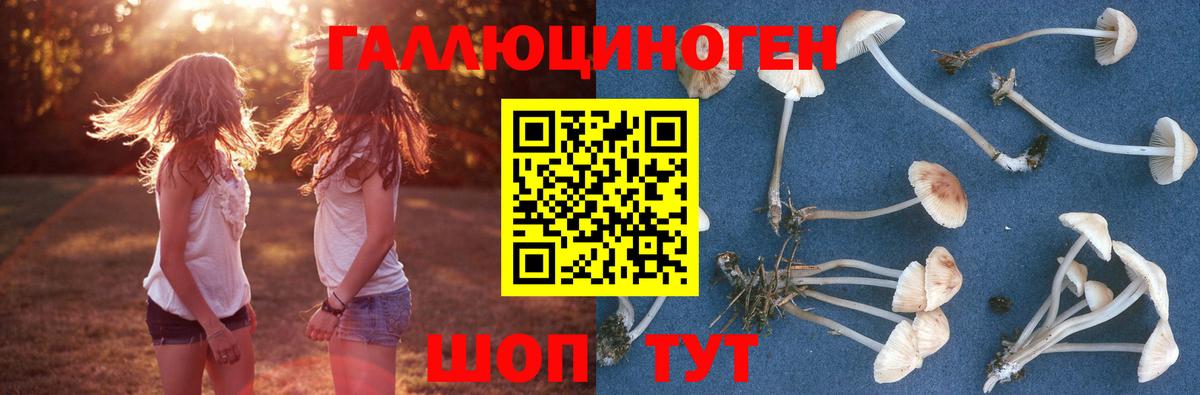 Железноводск  купить наркотик  Вход с VPN  Галлюциногенные грибы Cubensis 